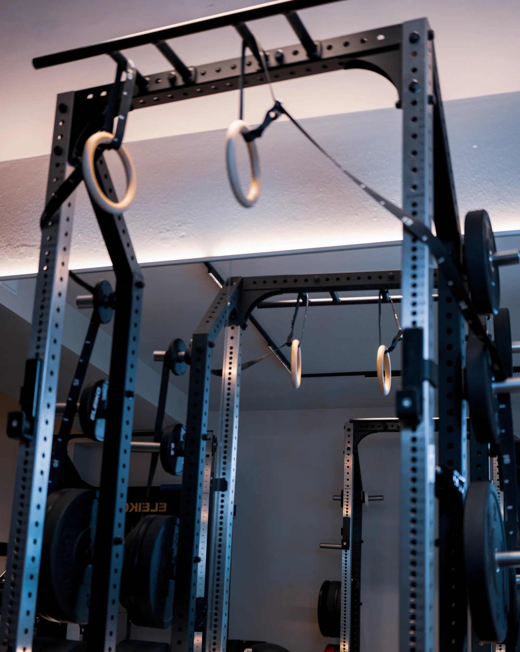 Rack mit Turnringen und Klimmzugstange